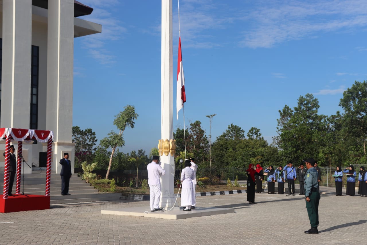 WhatsApp Image 2019 08 19 at 8.33.41 AM